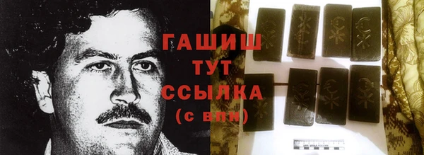 индика Балахна