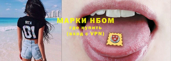 индика Балахна